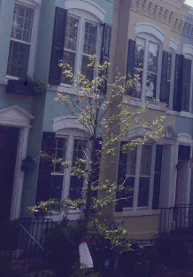 screen-shot-2016-09-20-at-8-52-10-pm