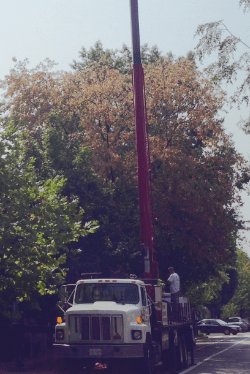 screen-shot-2016-09-20-at-8-52-37-pm